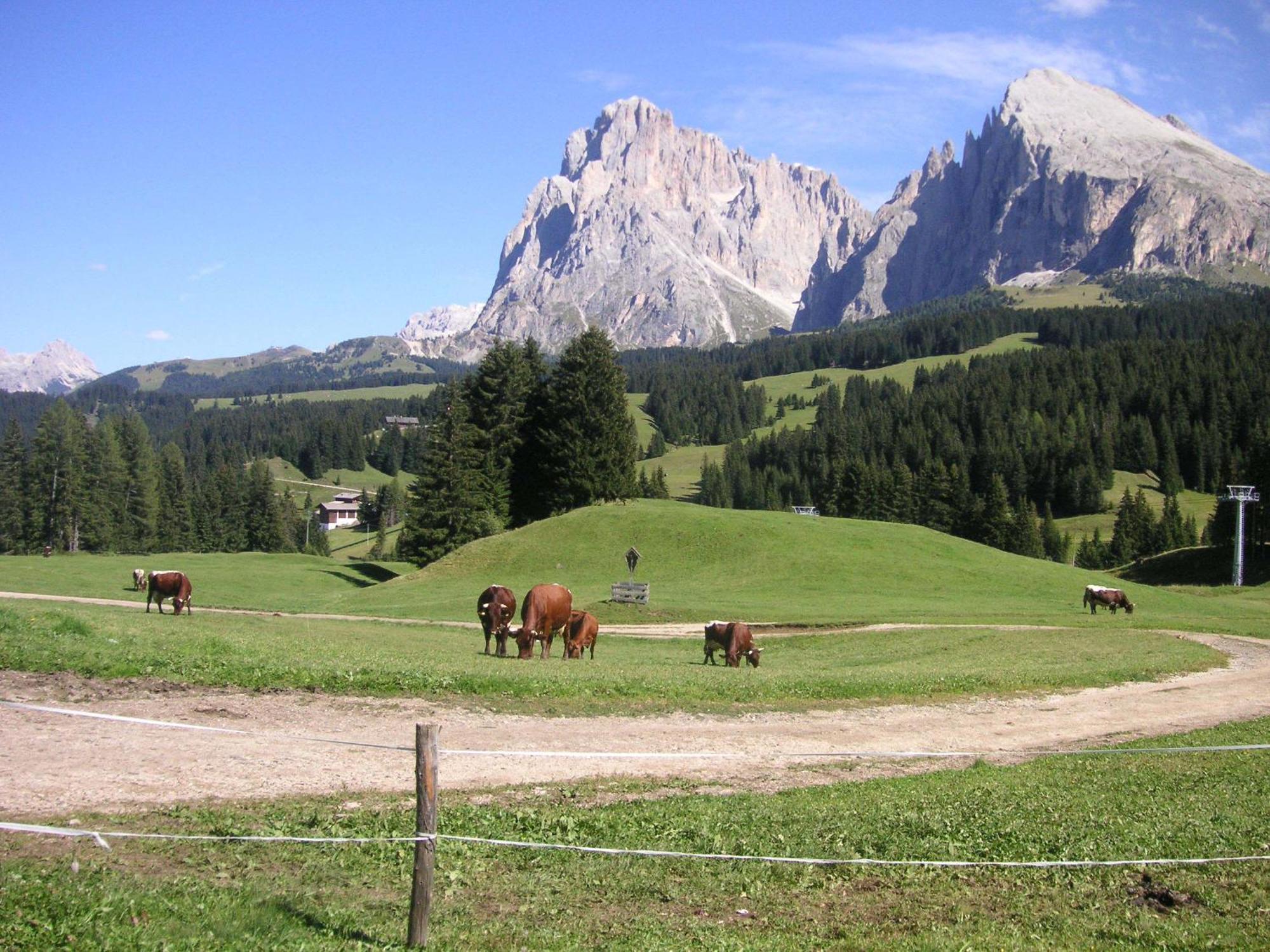 Hotel Flora Selva di Val Gardena Exterior photo